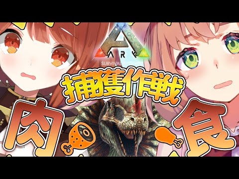 #2【ARK】つよつよの肉食恐竜を捕まえたい🍖【本間ひまわり/ラトナプティ】