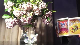 Libra September 2016 general & love reading