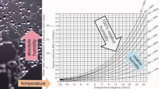 Relative Humidity