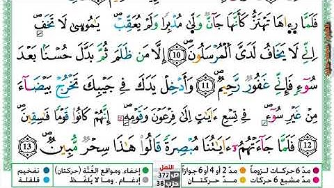 (مكررة) حفظ سورة النمل (03) للقارئ الشيخ محمد سايد