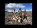 Alaska 2022 Fall Caribou &amp; Moose Hunt