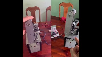 double-linked rotary inverted pendulum control