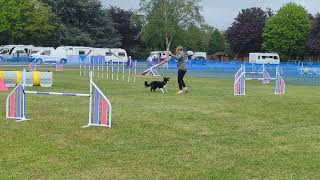 Cashy grade 1-2 Agility Ability