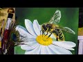 Honey bee on flower painting  acrylic painting for beginners  art tutorial for beginners  bee