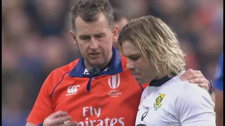 Referee Grand Master - Nigel Owens [France vs Sout...