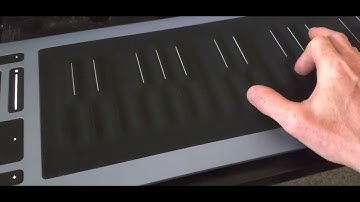 Roli Rise Equator 2 Ableton Live 11 plug-in Octave Shift BUG