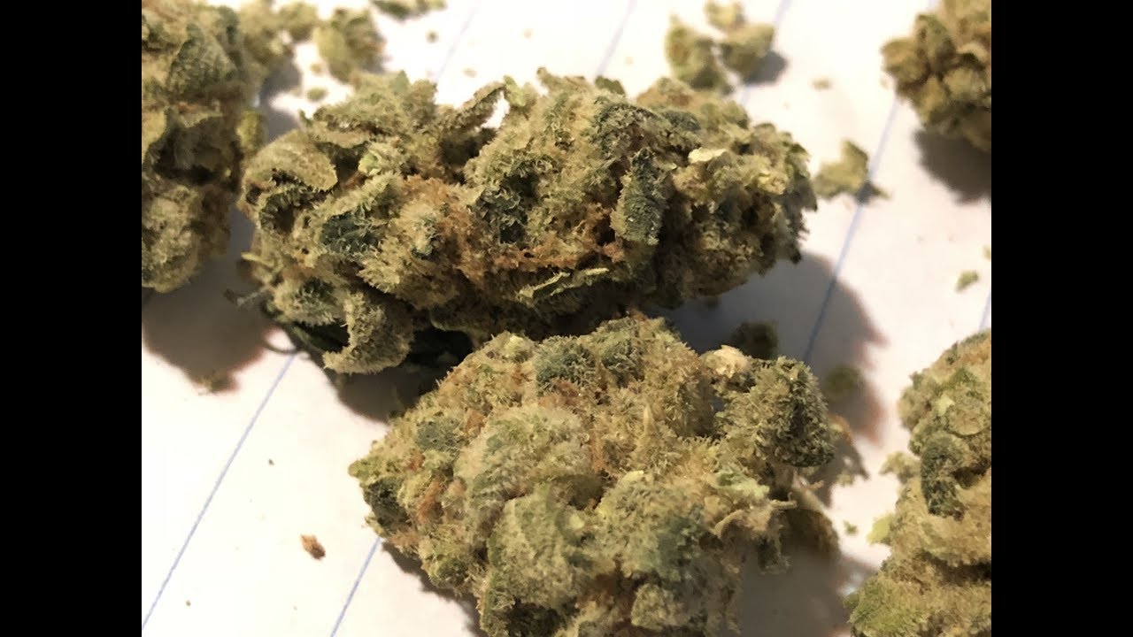 Grape 🍇 Stomper Flower Growhealthy Fl Mmj Review