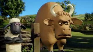 S3 Odc.83, 84 Baranek Shaun