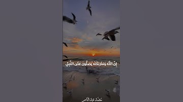 ( صلوا على النبي ﴾ • الاحزاب | محمد عبدالناصر  #القرآن_الكريم #اكسبلور #تلاوات