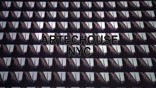 ARTECHOUSE NYC - Machine Hallucination