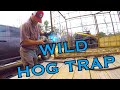 WELDING THE WILD HOG TRAP 👍👍👍 at Hollis Farms