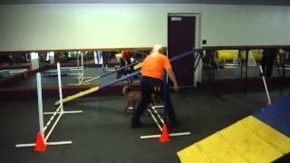Beginners Agility Class (Salina, KS Kennel Club) -- Wolfie 2