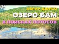 Озеро с ЛОТОСАМИ в Абрау-Дюрсо. Озеро БАМ. Карстовый провал. Разрушенная плотина