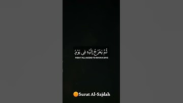 اية من سورة السجده #القرآن #ايات_قرانيه_قصيره #الشيخ اسلام صبحي