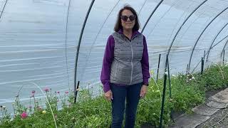 Richland County Ag+Art Tour - Purple Tuteur Farm