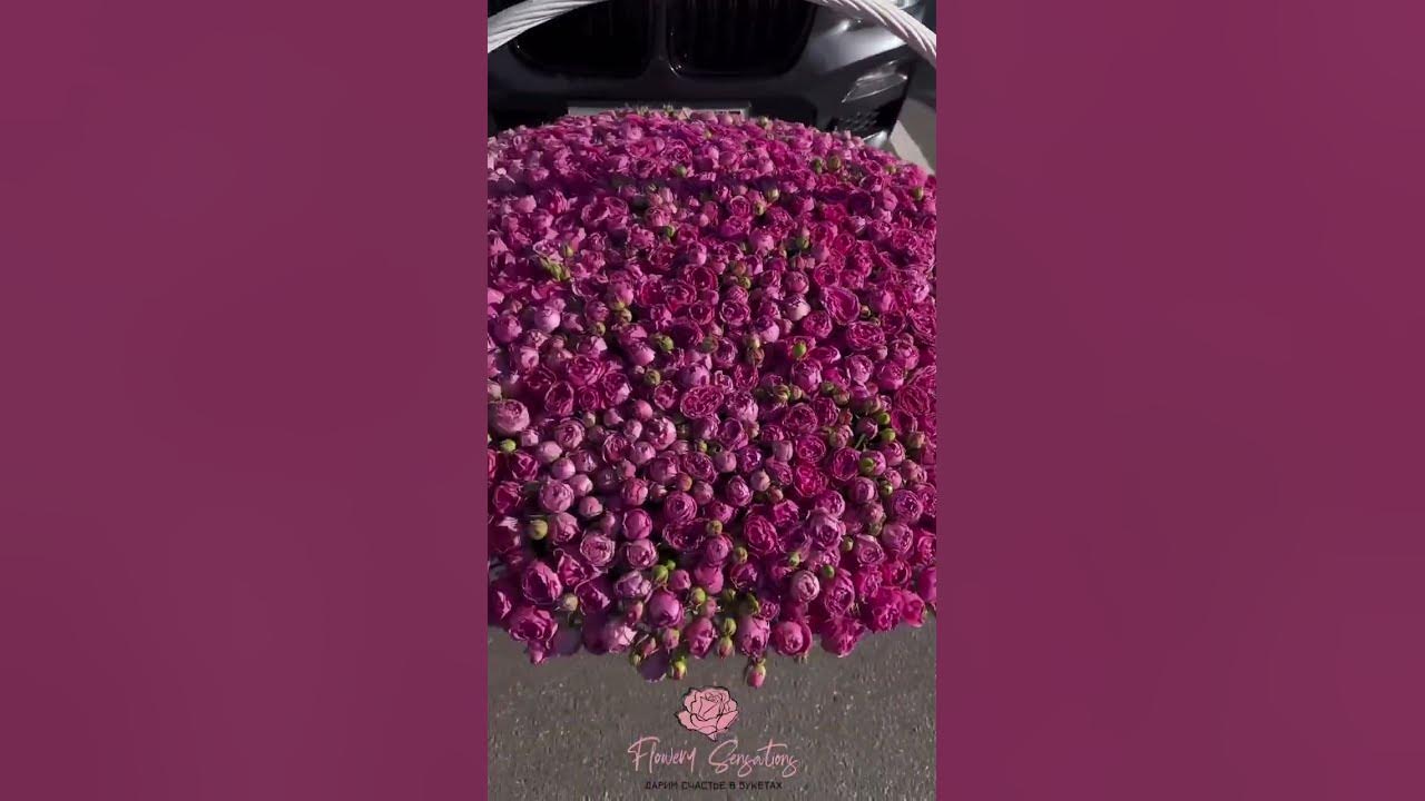 501 кустовая роза пионовидная роза Мисти баблс в корзине😍♥️ #flowers # ...