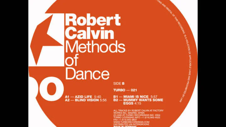 Robert Calvin - Blind Vision