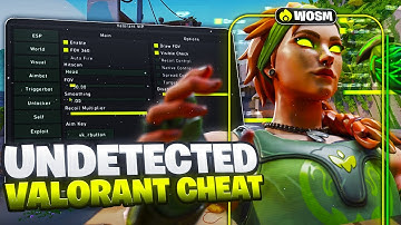 Valorant Cheats | Trying them for the first time...