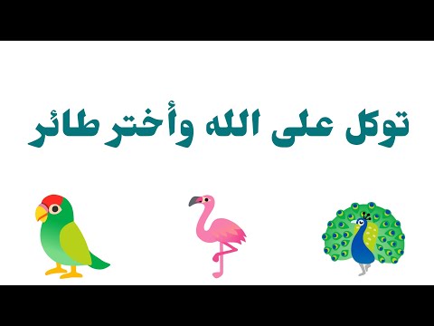 تأكد أنت المقصود بها ليست صدفة أختر طائر وأسمع ماذا يحمل لك توكل على الله وأفتحها
