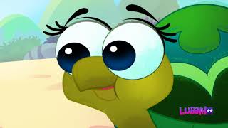 Verão Zoomoo Praia Limpa