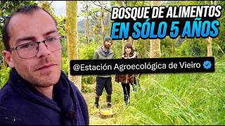 ¡Han creado este BOSQUE de ALIMENTOS espectacular en Galicia en sólo 5 años!