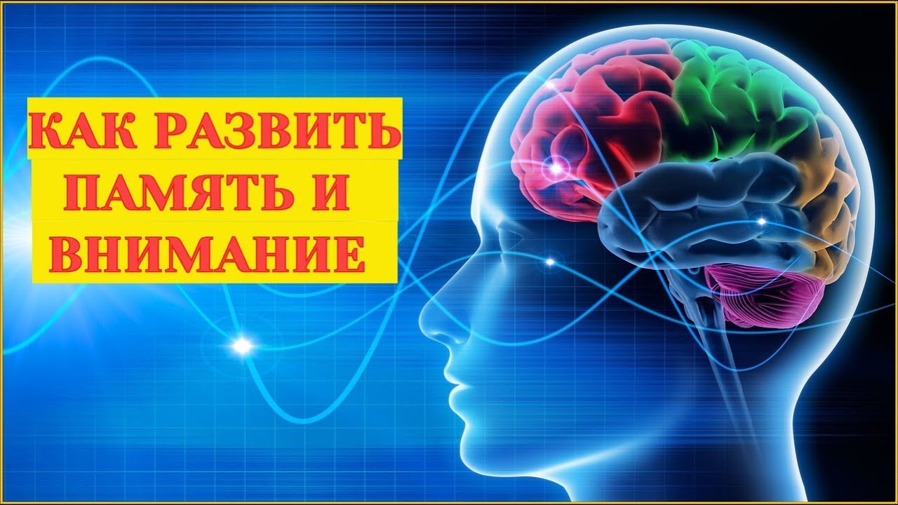 Необходимо развивать память. Память и внимание. Улучшить память и внимание. Тренировка мозга и памяти. Улучшение памяти.