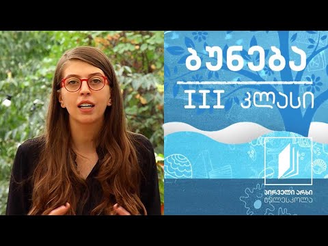 ბუნება, III კლასი - საკვები მცენარეები #ტელესკოლა