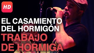 Video thumbnail of ""El Casamiento del Hormigón" - Trabajo de Hormiga | Candombe TV"