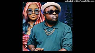 mellow_sleazy_myztro_waya_waya_everyday_iparty_feat._lady_du_dr_peppa_shaunmusiq_and_ftears