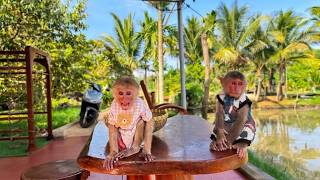 🐒🎐 Jobi & Hope Love Playing with Grandpa Nam's Handmade Wind Chime ❤️ screenshot 1
