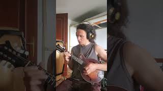 Mandolin solo practising