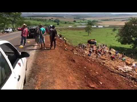 Caminhão com carga de cerveja tomba na GO-309 e pessoas saqueiam mercadoria - Mais Goiás