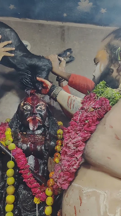 🙏kaali Mata par bakre ki bali 🙏