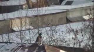 Snowboard Krahe Youtube