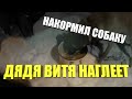 НАКОРМИЛ СОБАКУ // ДЯДЯ ВИТЯ НАЧАЛ НАГЛЕТЬ