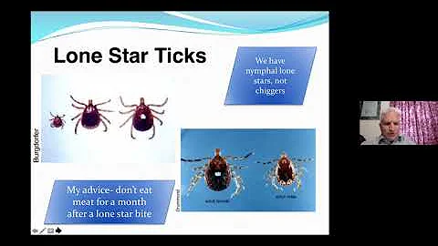 Ticks and Tick- Born Diseases - What You Need To K...