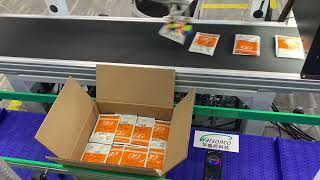 Warsonco High-Speed Pouch Automatic Packing Systems with Warsonco Delta Robot Up to 120ppm/robot