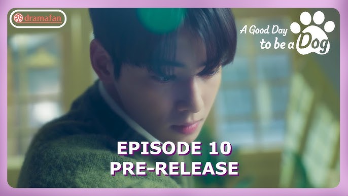 A Good Day to Be a Dog Episode 8 Trailer: A Trap Awaits for Cha Eun-Woo,  Park Gyu-Young