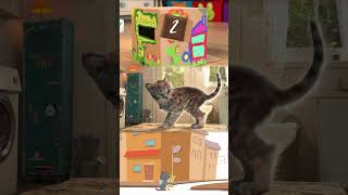Game Little Kitten Adventure Compilace - Animated Kitty And Super Cat Adventure