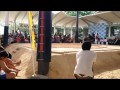 わんぱく相撲で 勝ったのか 負けたのか わんぱく相撲で 勝ったのか 負けたのか