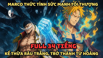 🔥Trọn Bộ 🔥One Piece Fanfic: Marco Thức Tỉnh Sức Mạnh TỐI THƯỢNG, Kế Thừa Râu Trắng, Thành Tứ Hoàng