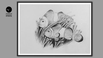 How To Draw A Clownfish || Pencil Sketch || Drawing Tutorial || Art Video