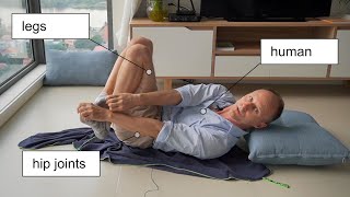 Free hip joints