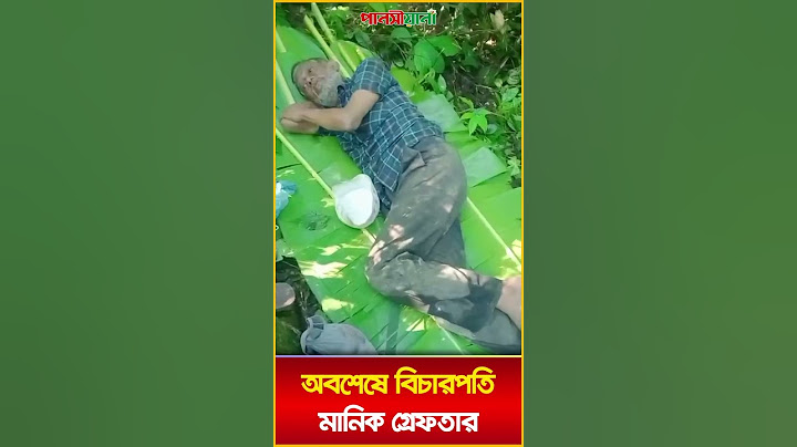 সিলেট সীমান্তের জঙ্গলে কলাপাতার বিছানা থেকে বিচারপতি মানিক আটক | Bicharpoti Manik Atok | Pansiyana