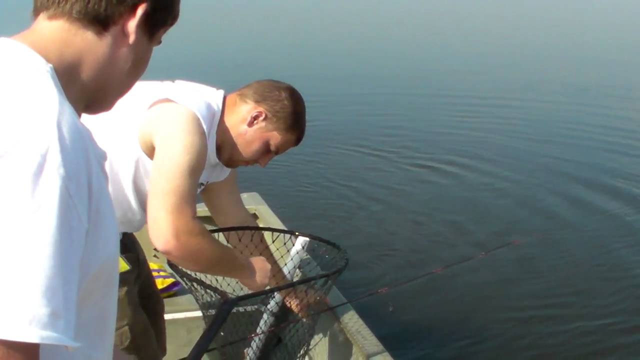 Delaware River Striped Bass Fishing YouTube