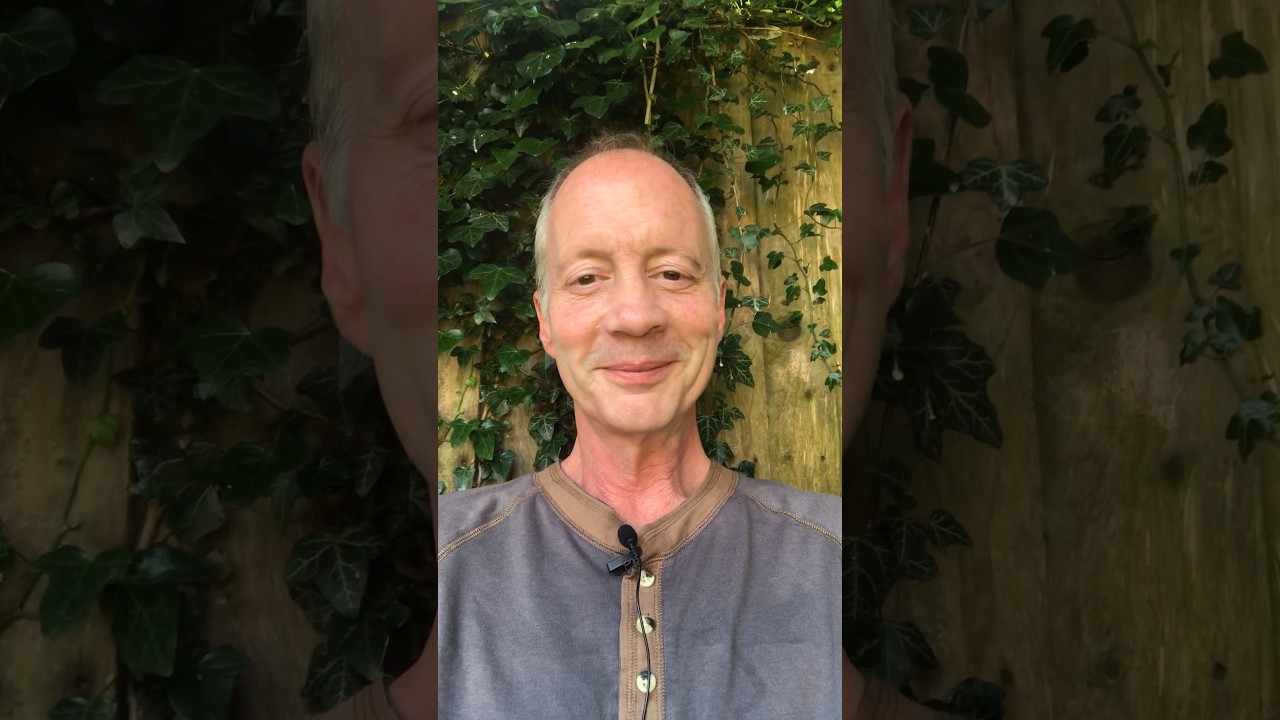 Will the carnivore diet reverse T2 diabetes? 