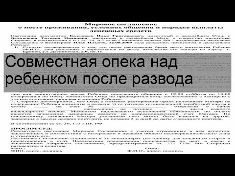 Видео: Аляска вводит закон, требующий учета домашних животных в делах об опеке при разводе