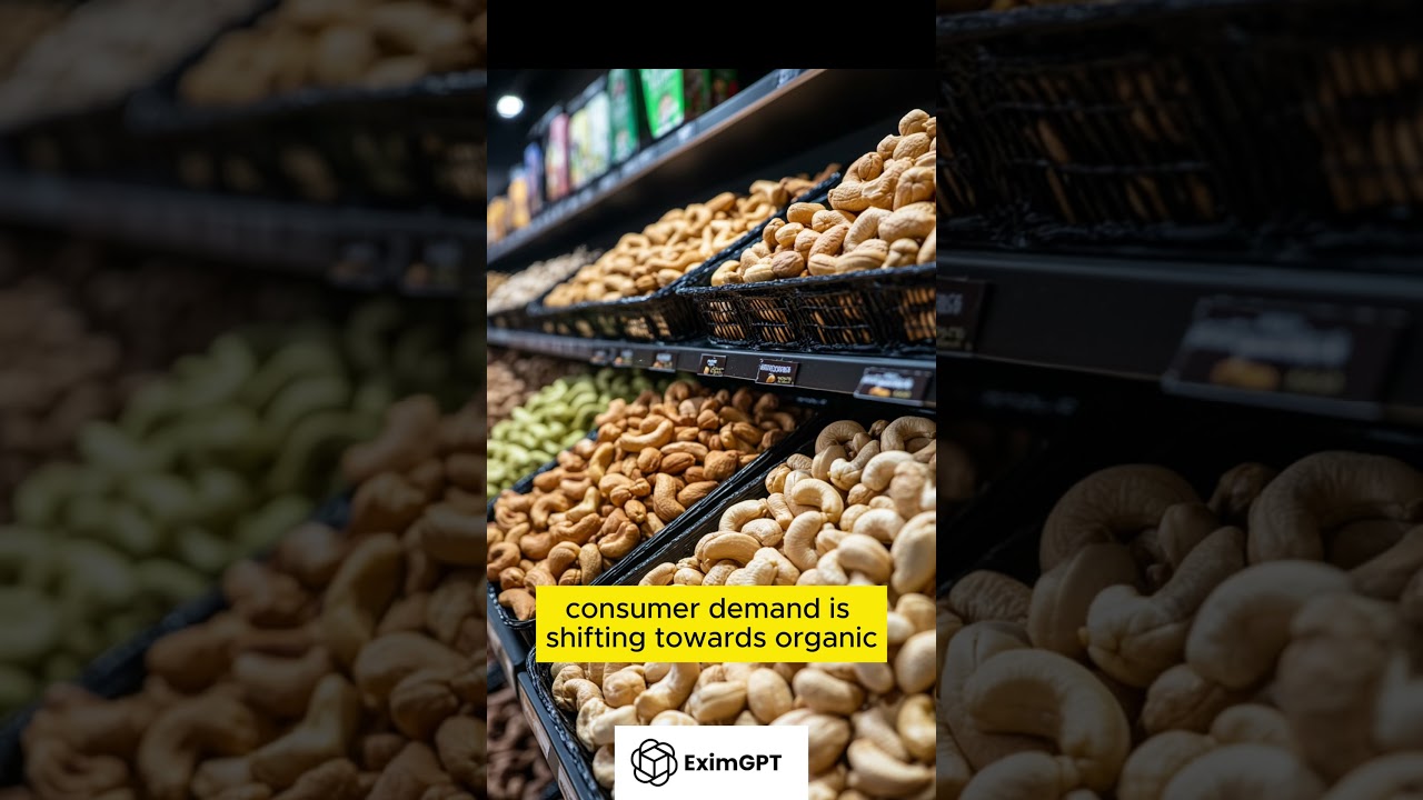 Vietnam’s Cashew Export Boom 2024: Insights for Buyers & Importers 🌍🥜 