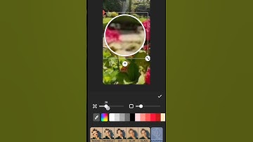How to add magnifier in your video by using inshot app