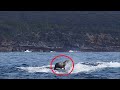 Фотограф заметил странно плывущего над водой тюленя. Присмотревшись он ЗАМЕР от страха❗